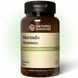 Морінда НСП | Morinda NSP 1667159330 фото 1