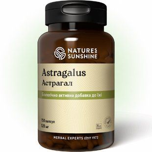 Астрагал НСП | Astragalus NSP 1667159416 фото