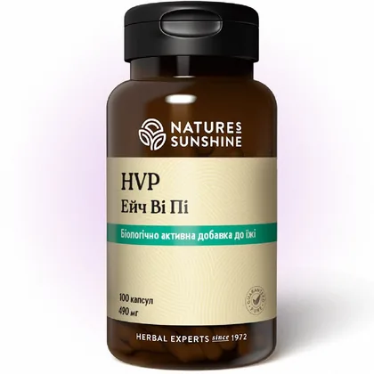 Ейч Ві Пі НСП | HVP NSP