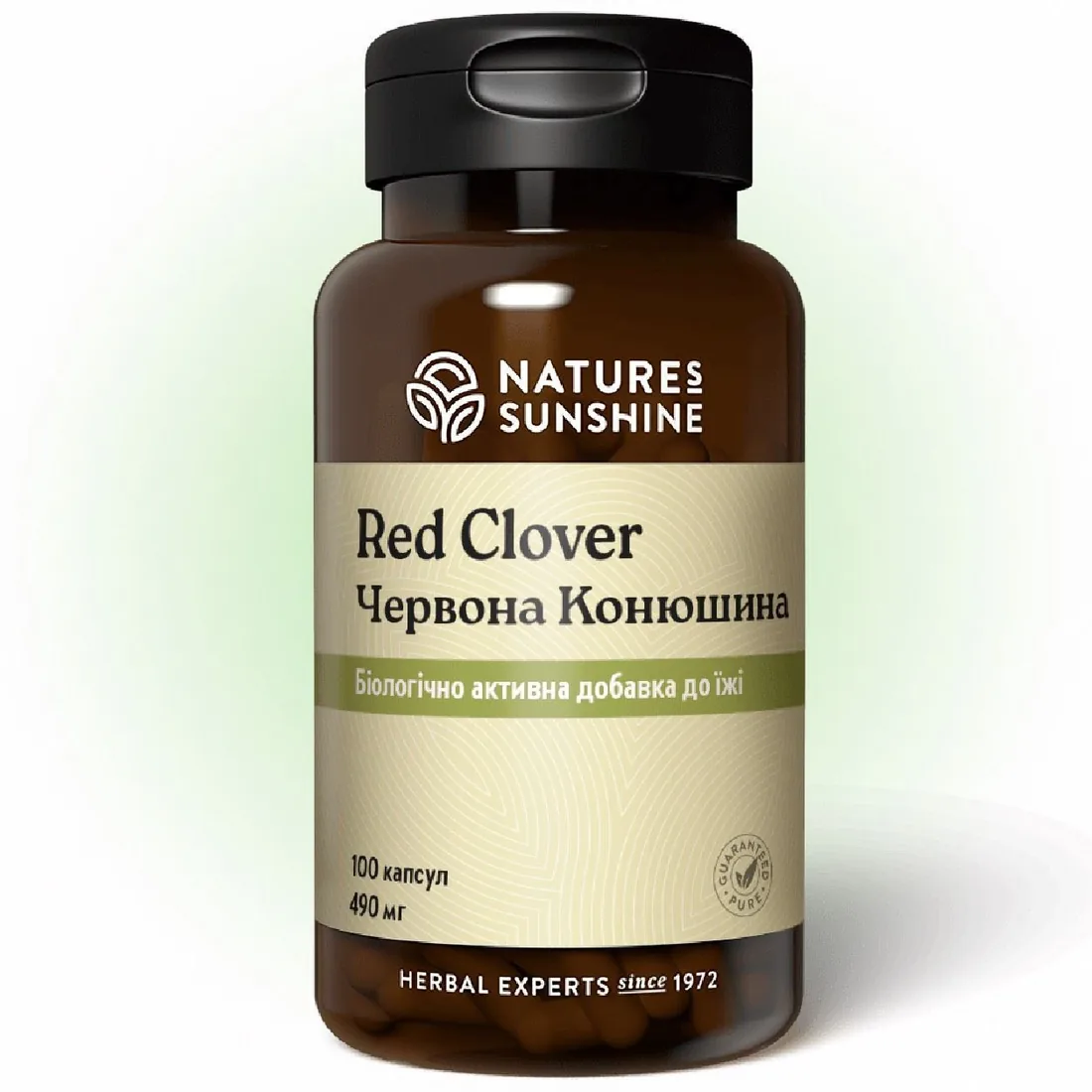 Червона Конюшина НСП | Red Clover NSP