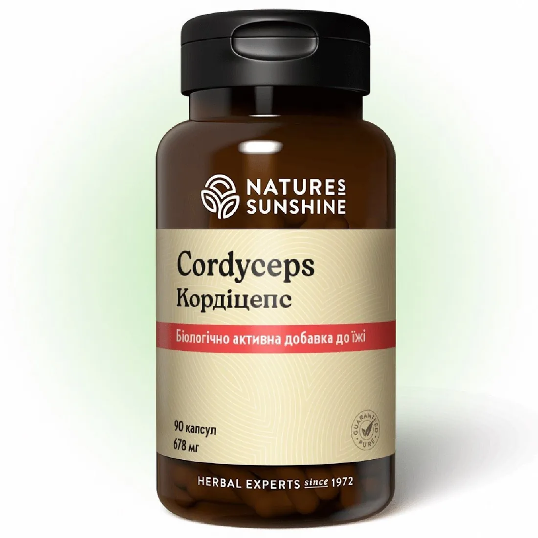 Кордицепс НСП | Cordyceps NSP